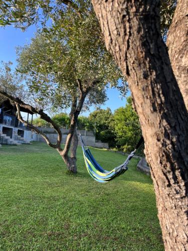 a hammock hanging from a tree in a park at Casa dei Nonni in Ischia