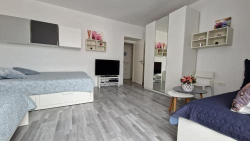Fotografie z fotogalerie ubytování Sun Kissed Apartment v destinaci Koper