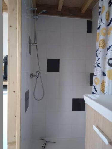 une salle de bain avec douche et lavabo dans l'établissement Séjour nature en Normandie, à La Ferté-Saint-Samson