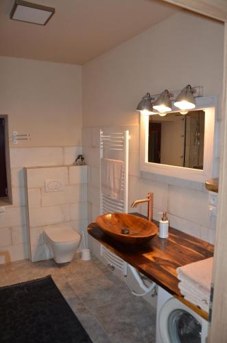 ein Badezimmer mit einem hölzernen Waschbecken und einem WC in der Unterkunft Apartmán Nad potokem in Český Rudolec