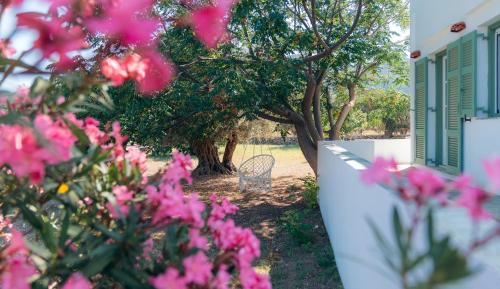 un jardin avec des fleurs roses, une clôture et des arbres dans l'établissement La Maison de Lilac-Luxurious Olive Grove apartments, à Platis Gialos