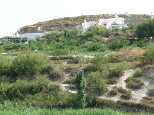a field of plants with houses on a hill at Al Jatib in Baza