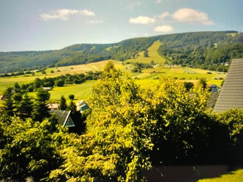 a view of a field with yellow trees and houses at Ferienhaus Kreuzberglick in Bischofsheim an der Rhön