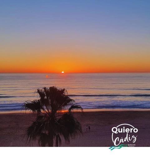 a palm tree on the beach at sunset at Quiero Cádiz in Cádiz