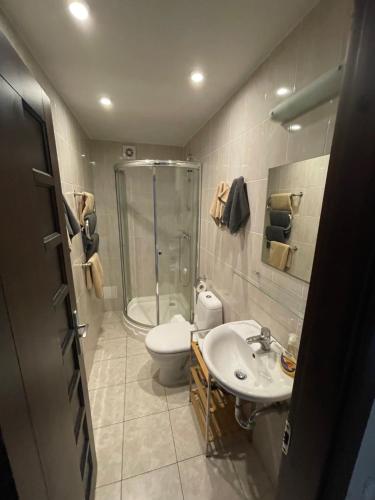 a bathroom with a shower and a sink and a toilet at Vila Vanila in Palanga