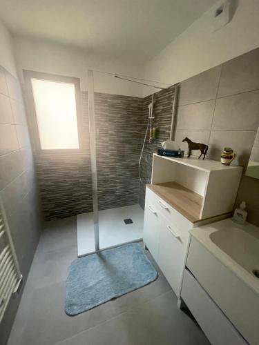 une salle de bain avec une douche avec un chat assis sur un comptoir dans l'établissement Loue appartement Piana Corse, à Piana