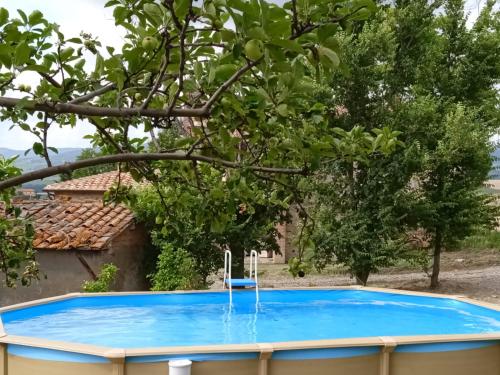 Podere Stabbiatelli في Montenero: مسبح ازرق مع كرسي امام شجرة