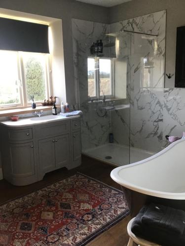 a bathroom with a shower and a sink and a tub at Plas Bostock Farm in Wrexham