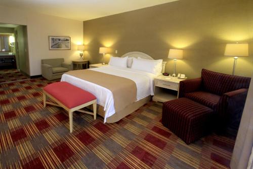 Postel nebo postele na pokoji v ubytování Holiday Inn Monclova by IHG