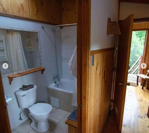 a bathroom with a toilet and a sink and a tub at Departamentos en Alojamientos Techo Azul in Malalcahuello