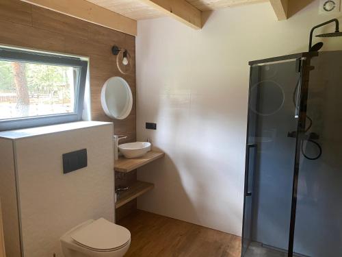 a bathroom with a shower and a toilet and a window at Dom Stodoła Borsk in Borsk
