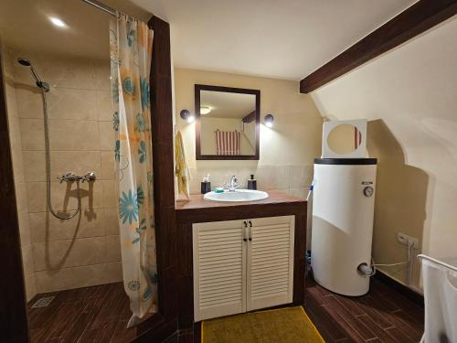 La petite salle de bains est pourvue d'un lavabo et d'une douche. dans l'établissement Jak Tu Sielsko, à Osiek