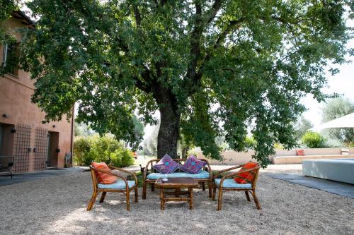 Tenuta Di Paternostro – Photos 4