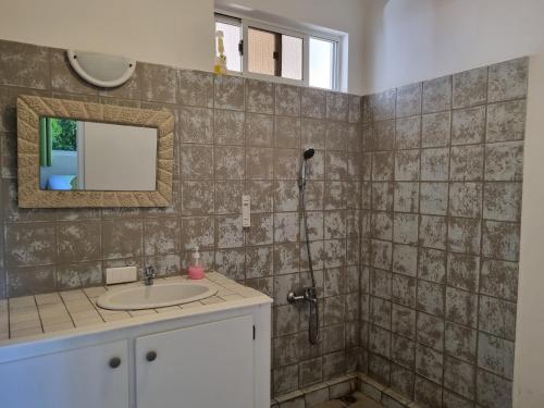 a bathroom with a sink and a shower with a mirror at Pension ANAPA LODGE - MOOREA in Vaianae