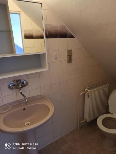 a bathroom with a sink and a toilet at Penzion u Jakuba in Svoboda nad Úpou