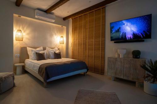 een slaapkamer met een bed en een televisie aan de muur bij Aparthotel ZATOR Cactus 57 jacuzzi in Zator