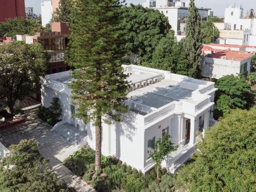an aerial view of a white house with a tree at Casa Bosque Eduviges in Guadalajara