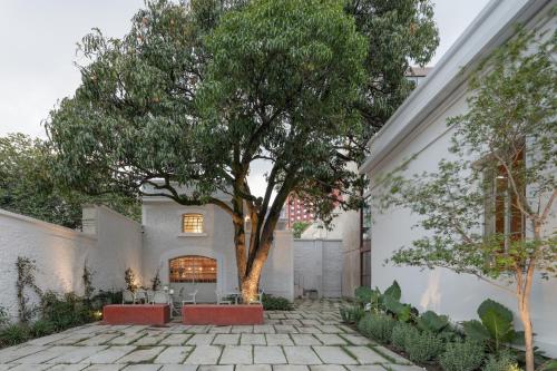 a tree in the courtyard of a house at Casa Bosque Eduviges in Guadalajara