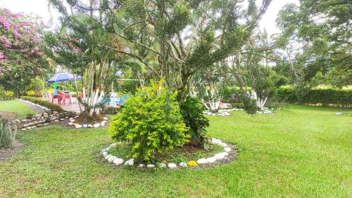 a garden with a tree and a table with an umbrella at Finca Turistica Rural El Descanso, privada Restrepo, Meta - Colombia in Restrepo