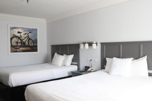 杜阿爾特的住宿－杜阿爾特戴斯酒店，两张位于酒店客房的床,墙上挂着自行车