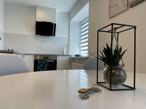 TV/trung tâm giải trí tại Balvi apartment