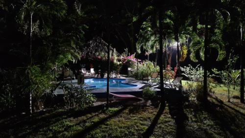 a swimming pool in a yard with palm trees at Villasjungle 2 in Sámara