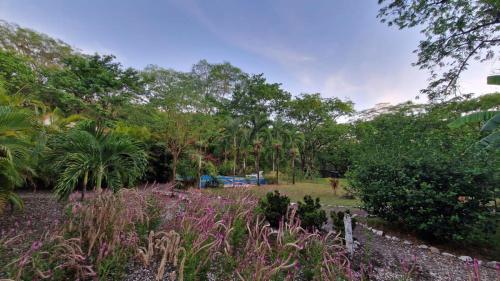 Zahrada ubytování Villas jungle 5