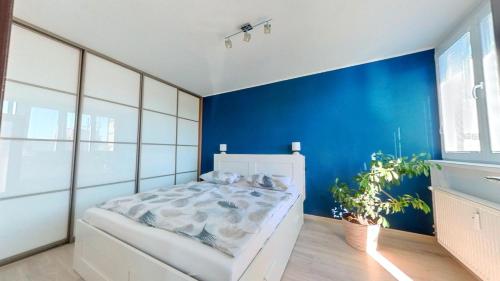 a bedroom with a blue accent wall and a bed at Air conditioned, 2 room Apartment, New City in Koliba