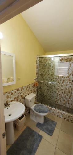 a bathroom with a sink and a toilet and a shower at Nation Palace house rentals in Montego Bay