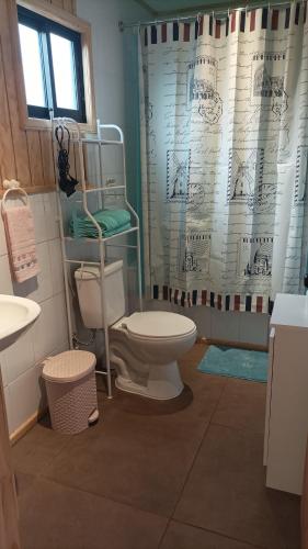 uma casa de banho com um WC e uma cortina de chuveiro em Cabaña los pajaritos de frutillar em Frutillar