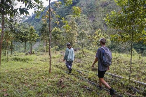 two people walking on a path through a forest at Rumah Kalpataru in Yogyakarta