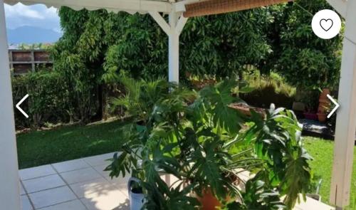 Blick vom Patio eines Hauses auf einen Garten in der Unterkunft VILLA LAURAYM in Baie-Mahault