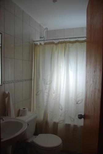 a bathroom with a toilet and a sink and a shower curtain at Cabanas Las Hualas in Punta de Choros
