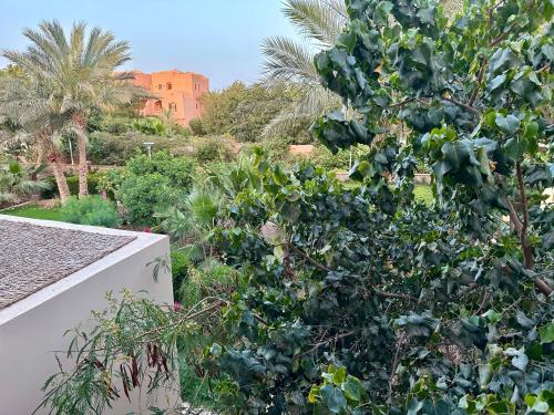 een grote groene boom naast een wit hek bij 2 Bedroom Condo, with Pool, and Beach & Lagoon Access in Hurghada