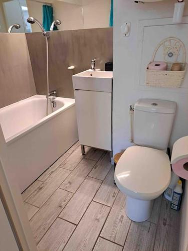 une salle de bain avec toilettes, baignoire et lavabo dans l'établissement Bel appartement, proche plage les sablettes, à La Seyne-sur-Mer