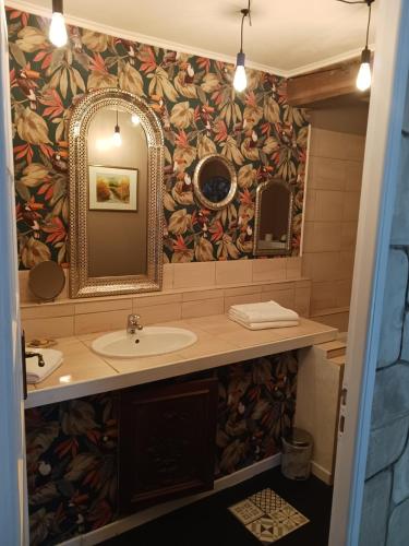 een badkamer met een wastafel en een spiegel bij Le CLOS BOURBON in Ferrières-sur-Sichon
