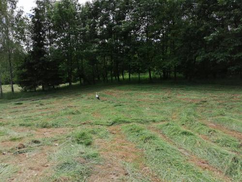 Galeriebild der Unterkunft Na Wyraju in Trzcianka