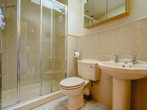 a bathroom with a toilet and a sink and a shower at Shepherds Cottage in Ambleside