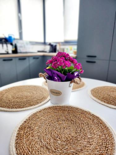 a flower pot on a table with three plates at ADM Cozy Home - Entire private house&garden, close to Therme and Edenland in Tunari