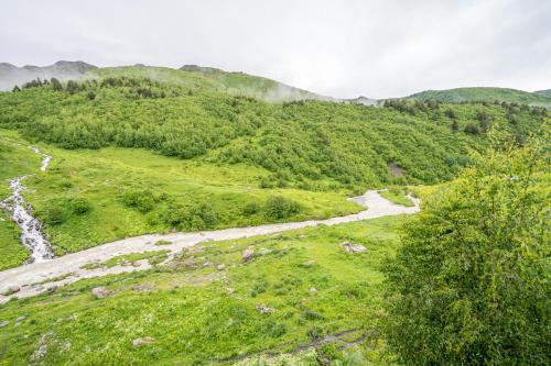 a view of a mountain with a river in a field at GuestHouse NaSHGOBI in Ushguli