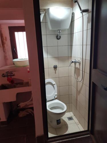 a small bathroom with a toilet and a shower at Quiete del Sirino in Moliterno