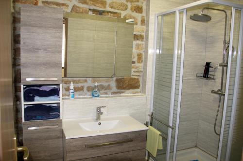 a bathroom with a sink and a shower at Kod Mladena in Buković