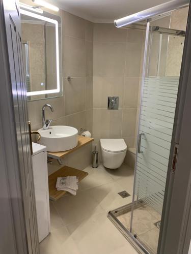 een badkamer met een toilet, een wastafel en een douche bij Garden Lefkanti, 4season Plaza Room in Lefkandi Chalkidas