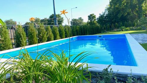 Kolam renang di atau dekat dengan Eastlake Apartman