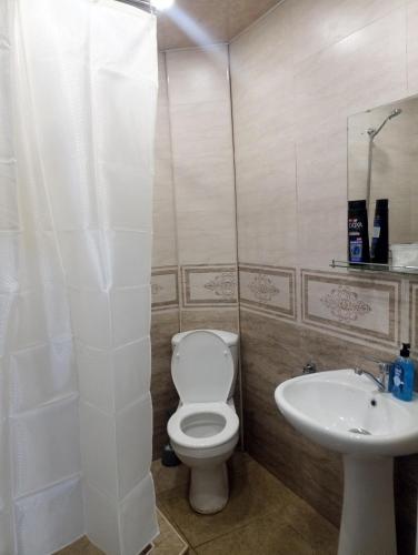 łazienka z toaletą i umywalką w obiekcie Art-Rabath w Achalciche