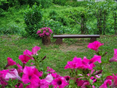 Сад в Mountain Pearl Velebit