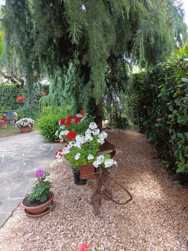 Un jardín fuera de Recanati Family