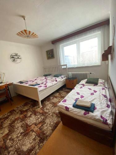 a bedroom with two beds and a window at Domeček Pod horami in Raškovice