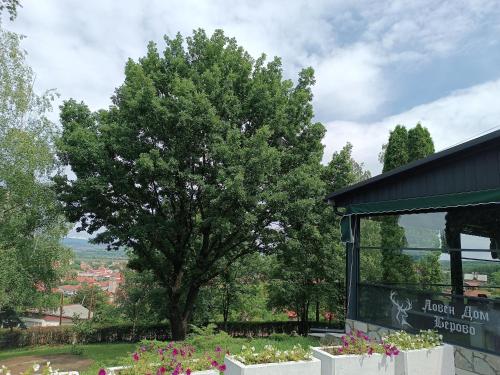 un árbol en un jardín junto a un edificio en Loven dom Berovo, en Berovo