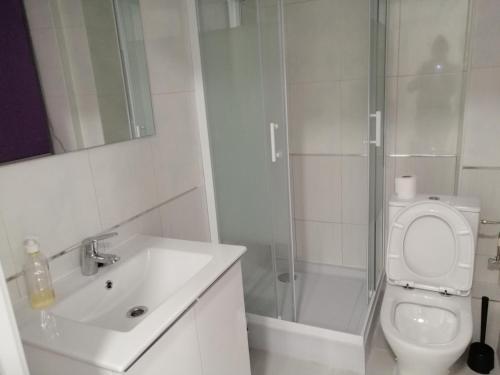 La salle de bains est pourvue de toilettes, d'un lavabo et d'une douche. dans l'établissement La MARINA, à Alicante